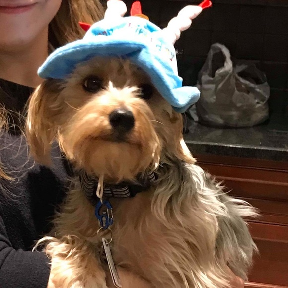 Meet your Posher, Michelle - Picture 5 of 16